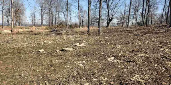 0 Harness RD