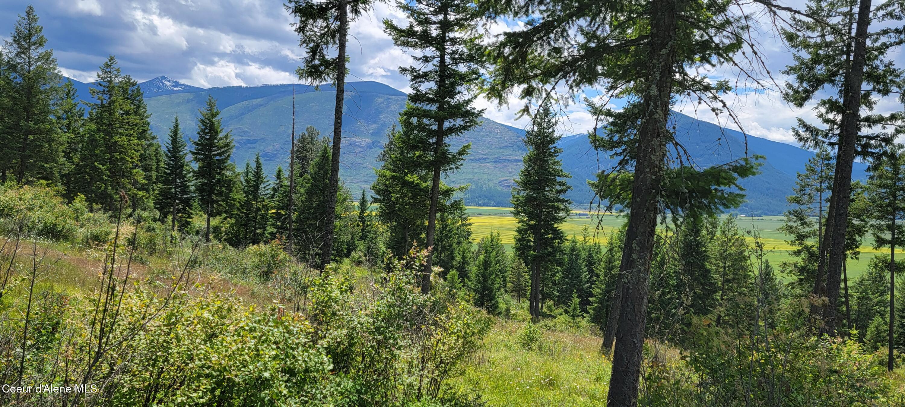 Image 2: 20240619_141619
