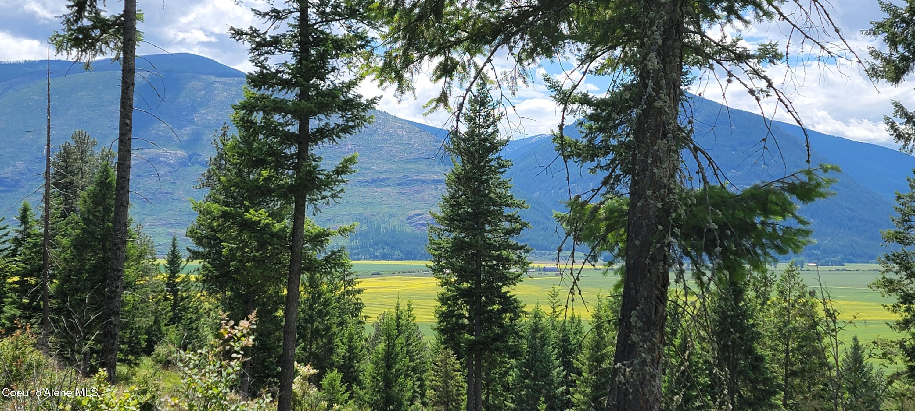 Image 3: 20240619_141624