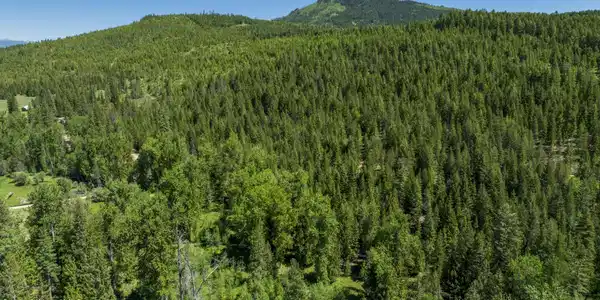 TBD Kreiger Creek Rd Lot 2