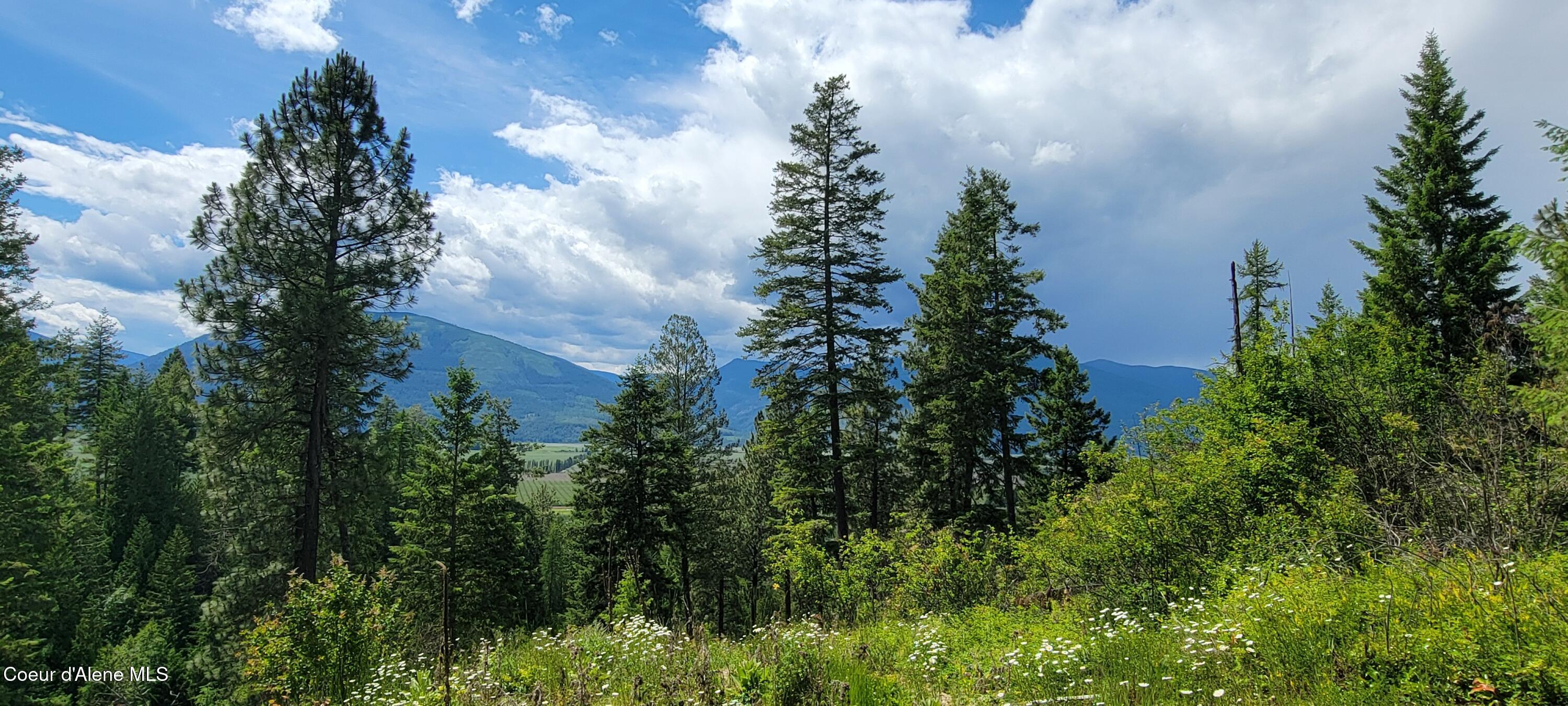 Image 1: Selkirk Mountain View