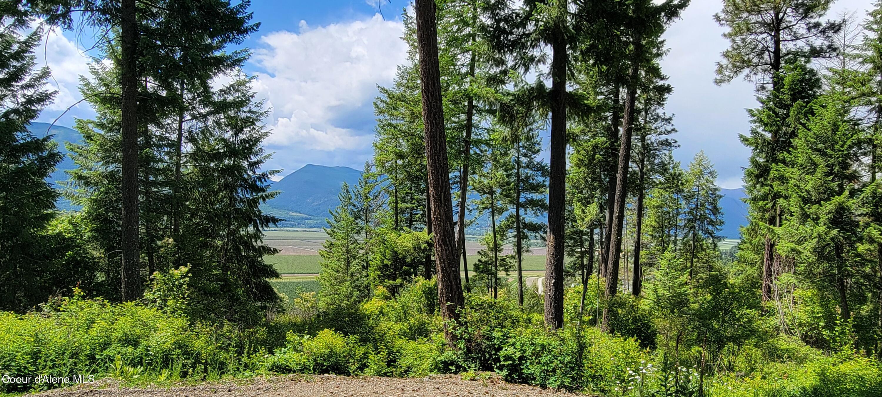 Image 2: 20240619_140251