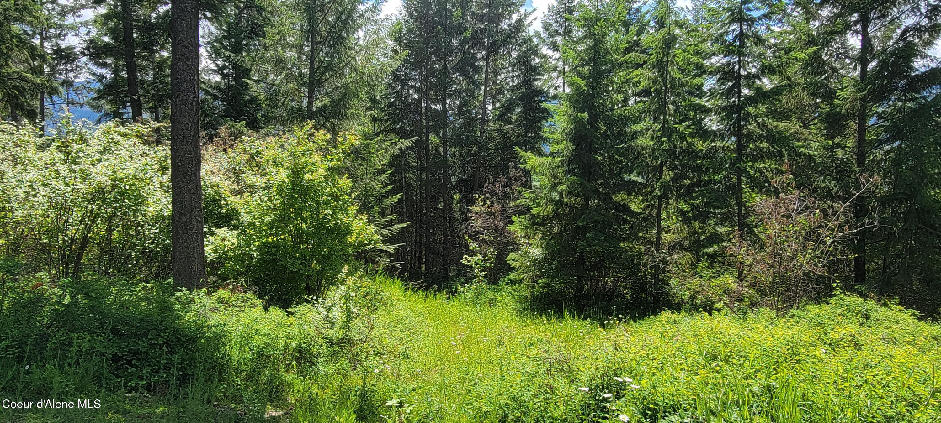 Image 3: 20240619_140303