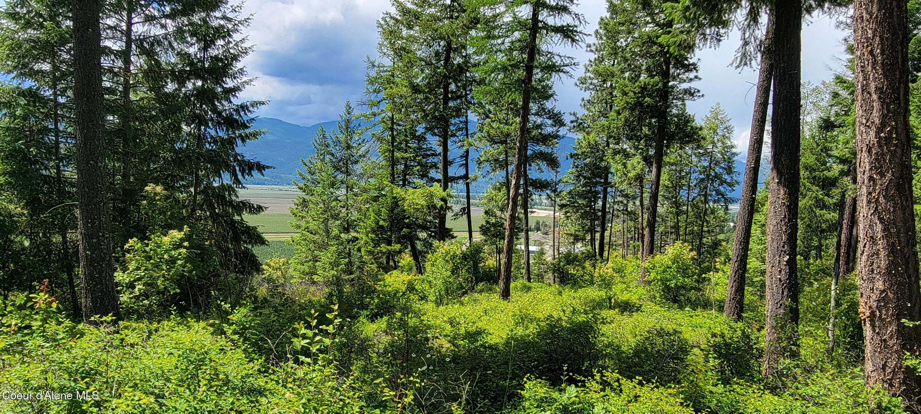 Image 4: 20240619_140311