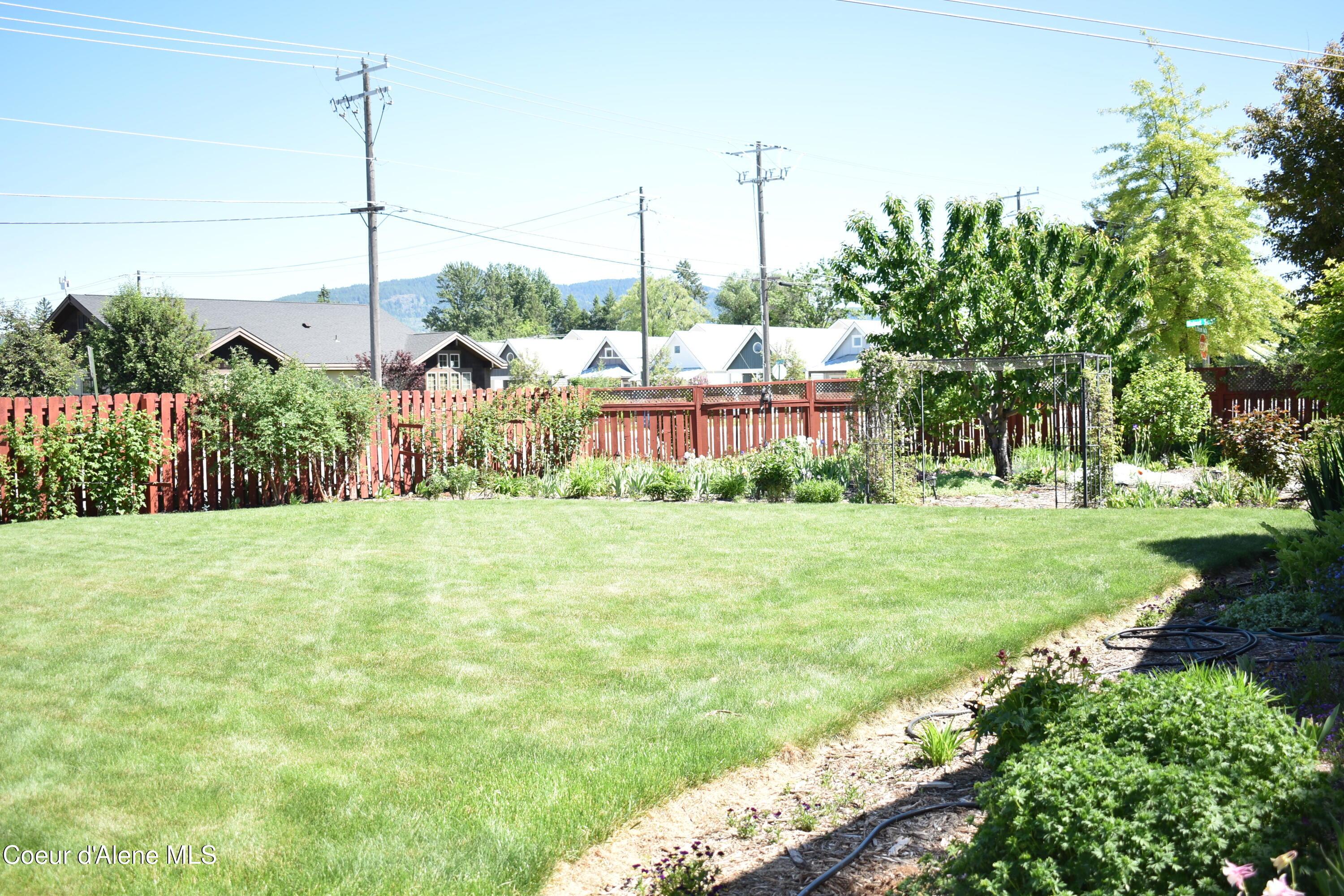 Image 2: DSC_0042