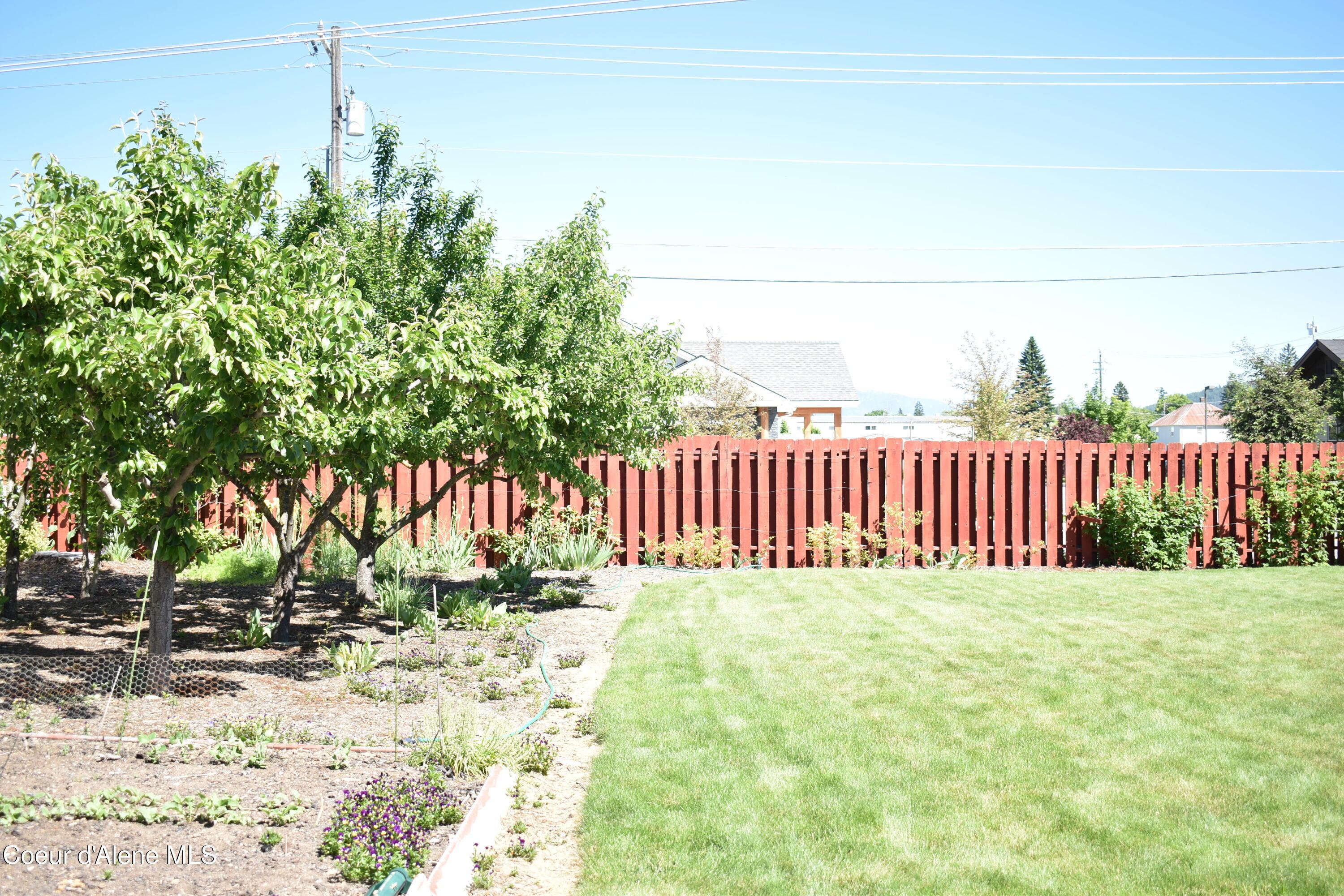 Image 4: DSC_0044