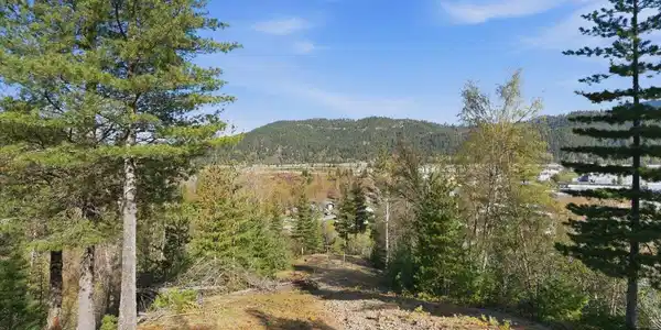 Image 3: 01-NKA Main St