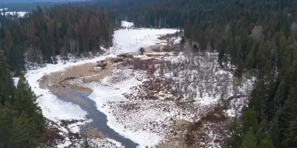 533739 U.S. 95 - 75 Acres