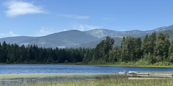 Image 3: 003 Back of Schweitzer