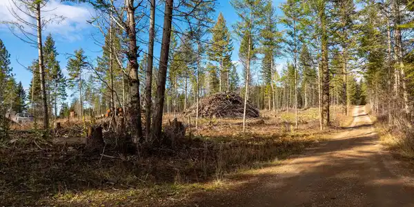 773 Cougar Loop