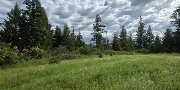Image 2: 20260617_085026