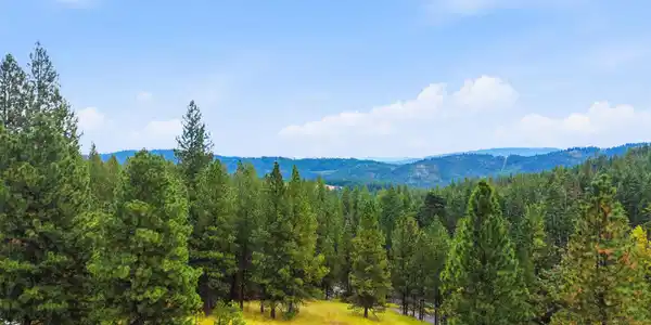 Image 3: 31_dji_20260910100757_0262_d