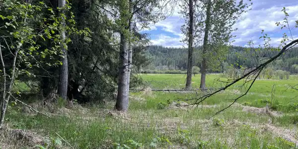 NNA High Meadow Drive