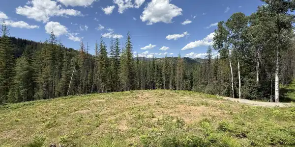 928 Polaris Peak Rd Lot 1