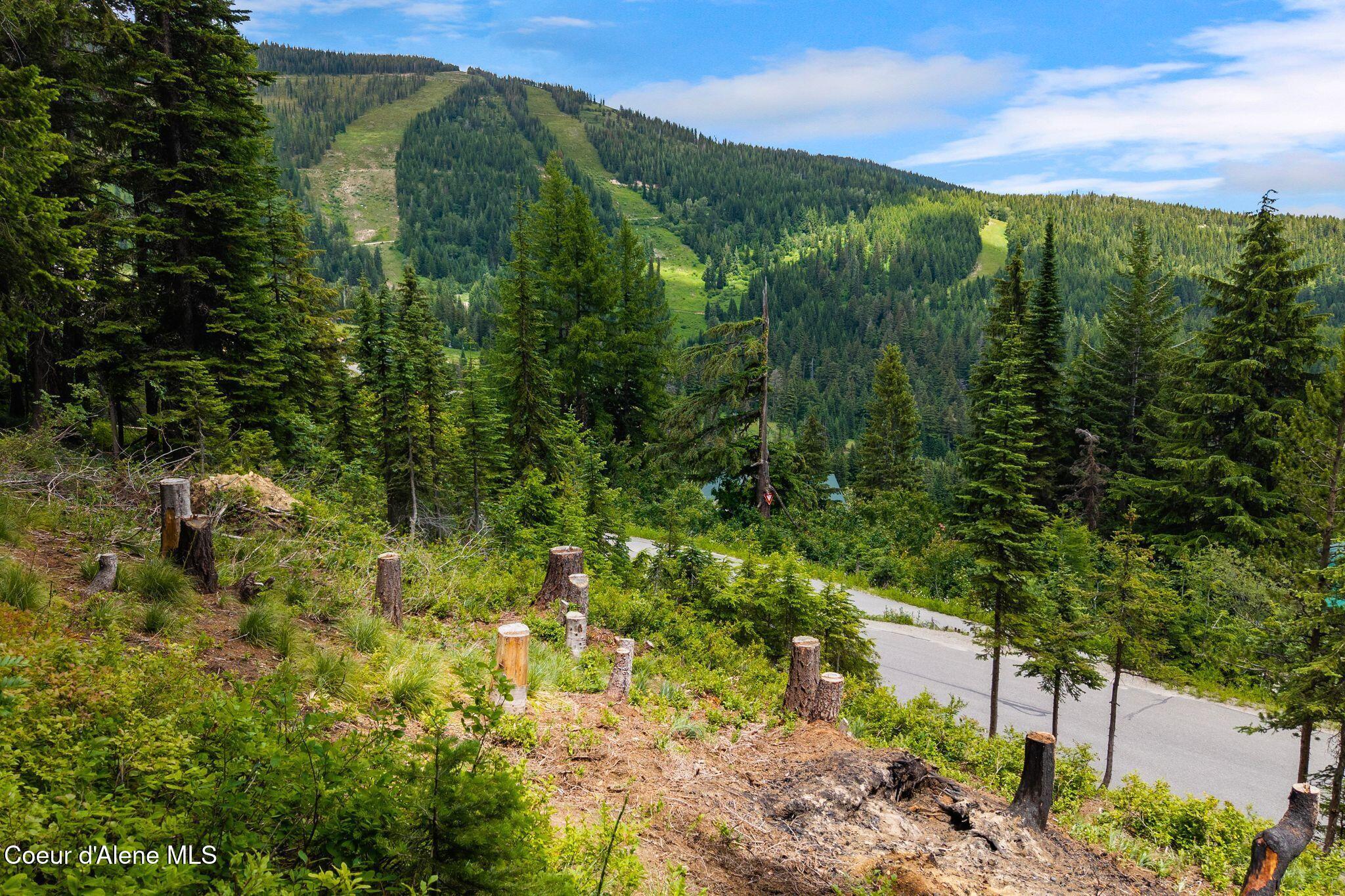 Image 2: 4_DJI_20260703135102_0346_D