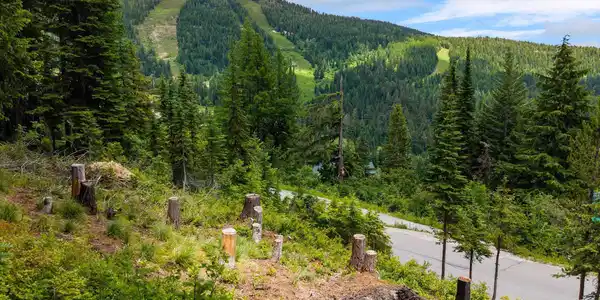 Image 2: 4_DJI_20260703135102_0346_D