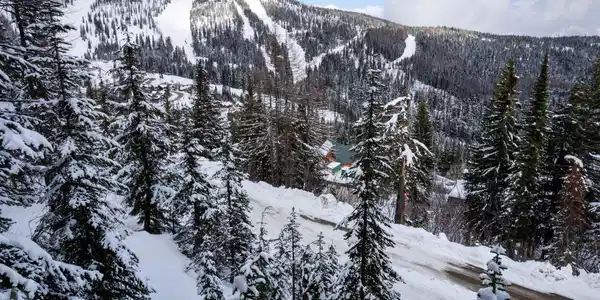 Image 3: 7_DJI_0156