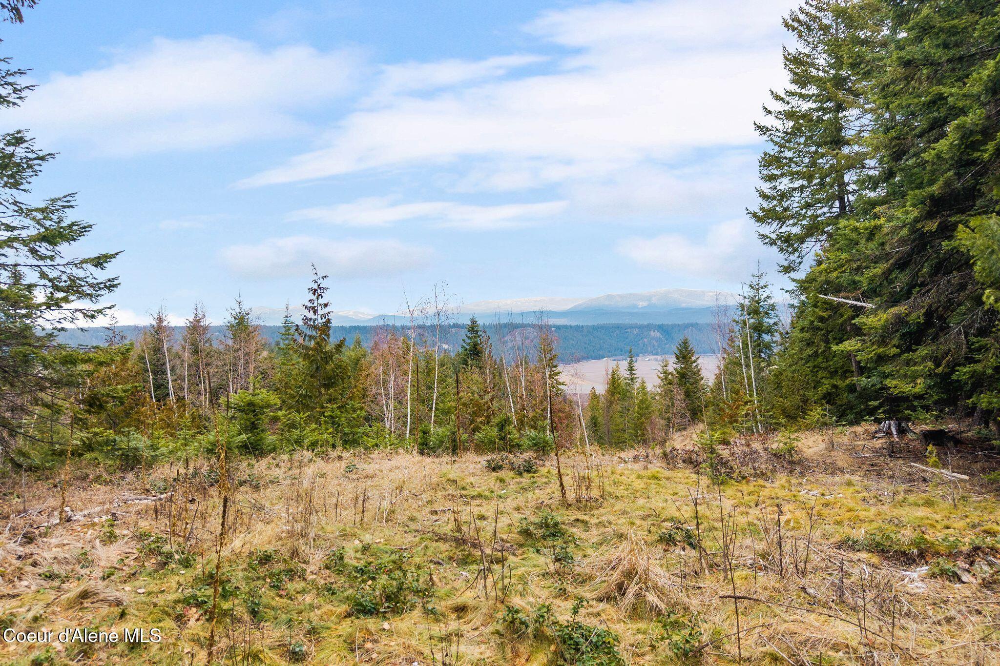 Image 4: 19_DJI_20260123053256_0293_D