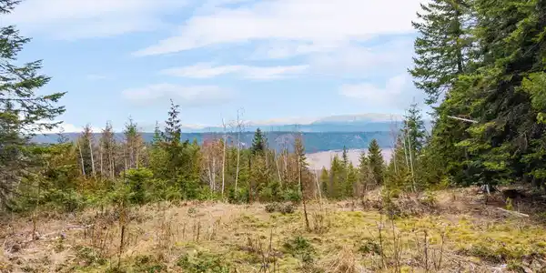 Image 4: 19_DJI_20260123053256_0293_D