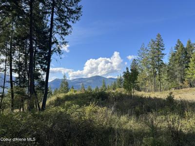 NNA Bootlegger Lane - Stein Mtn