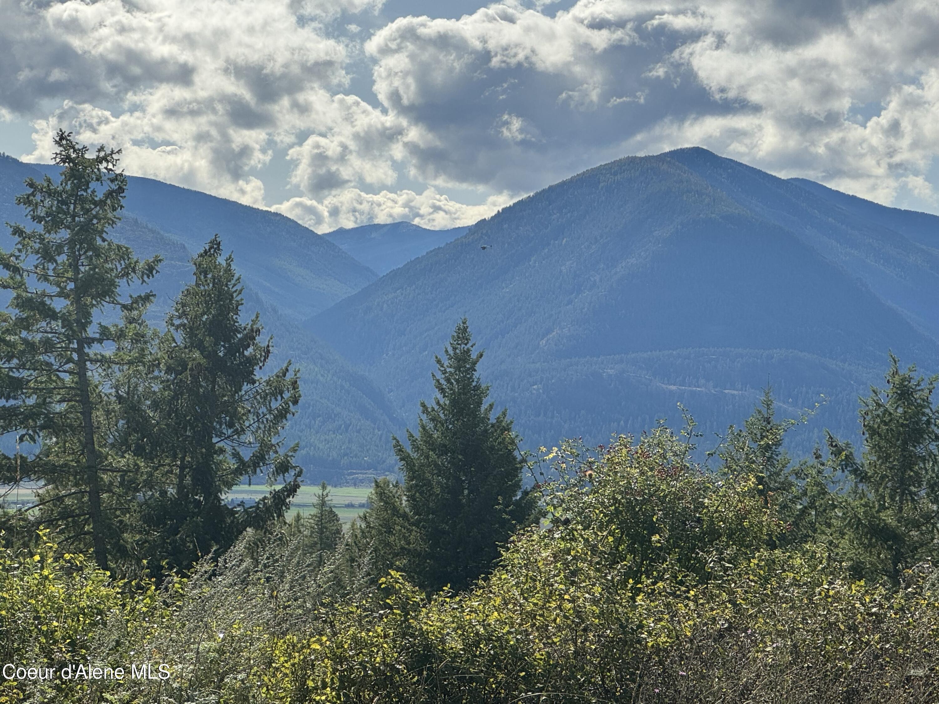 Image 2: IMG_0037