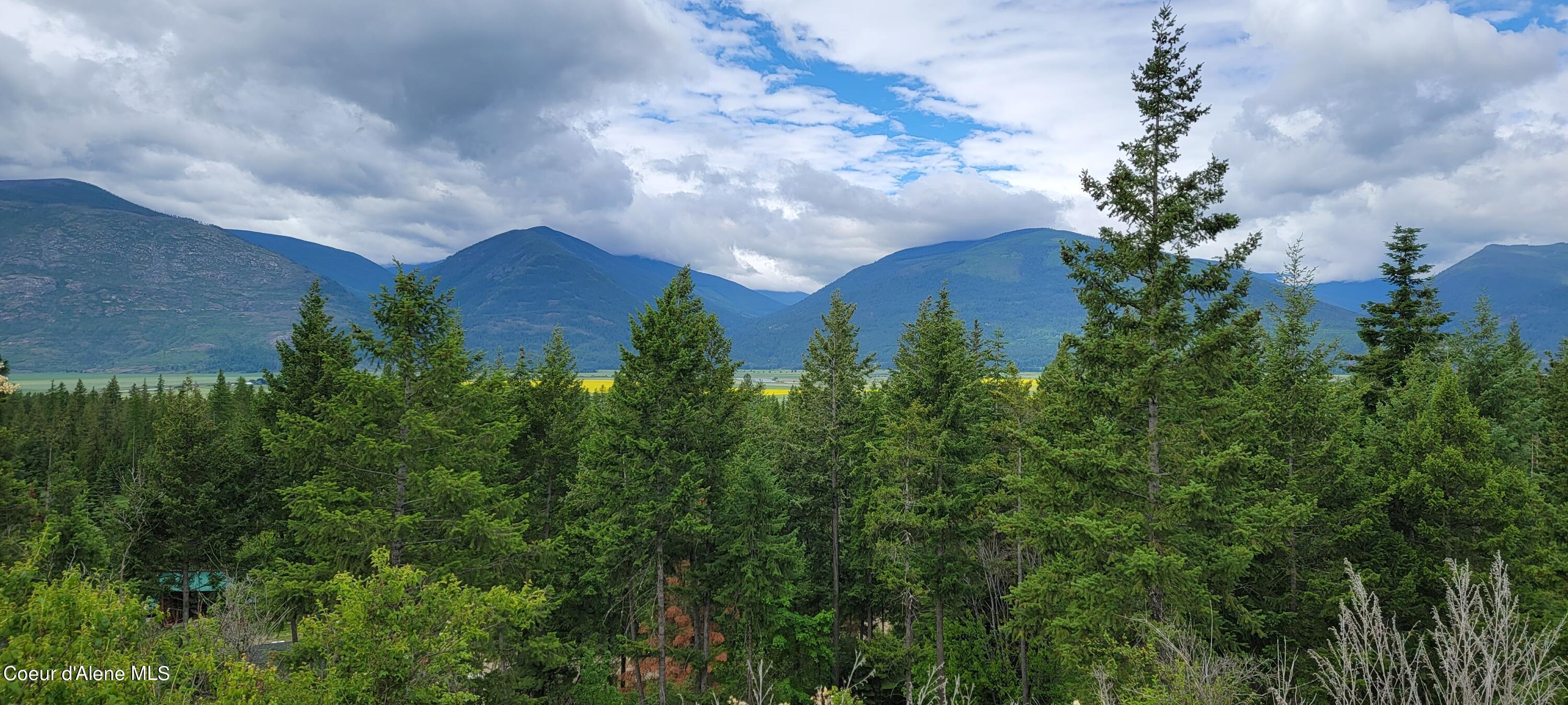 Image 3: 20230619_102510