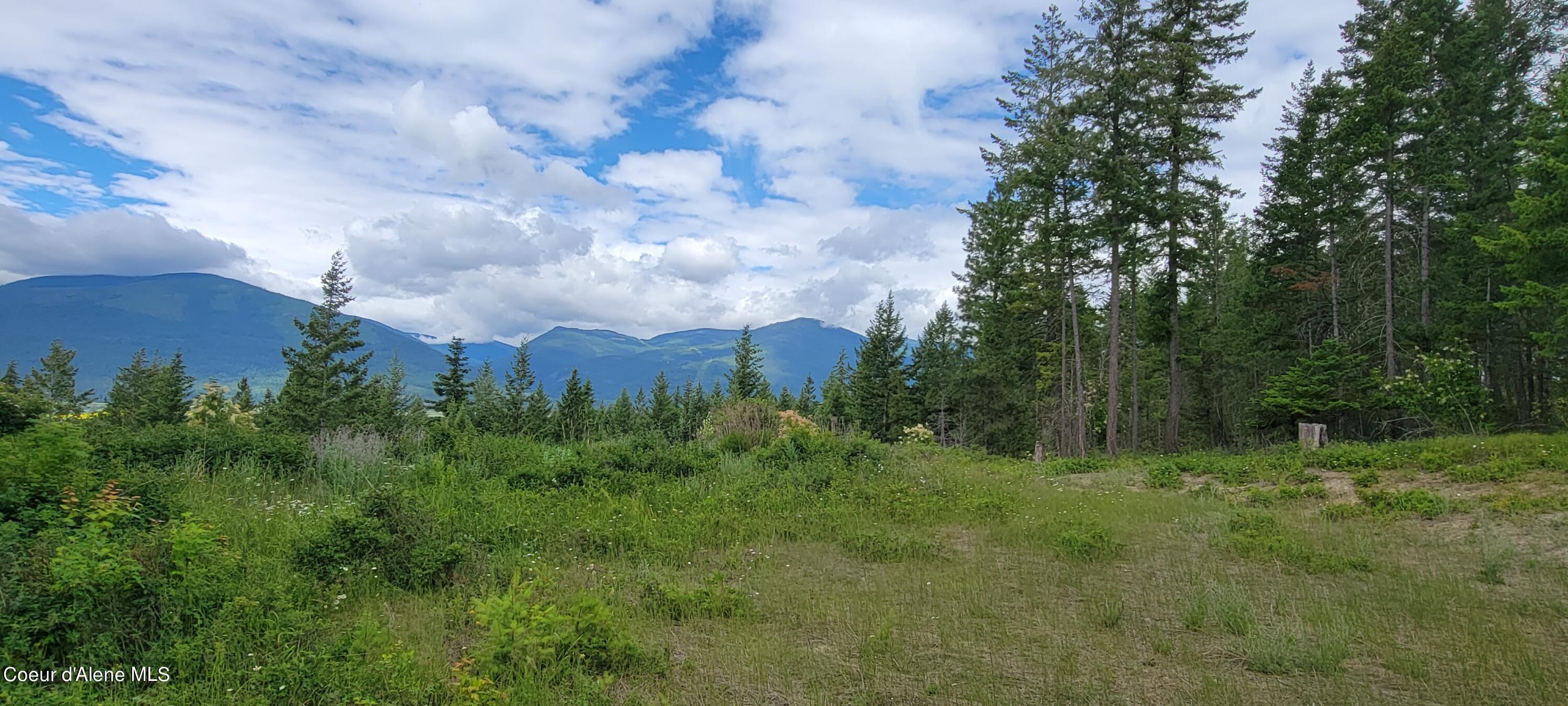 Image 4: 20230619_102632