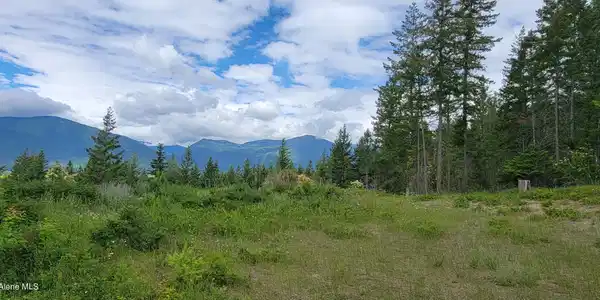 Image 4: 20230619_102632
