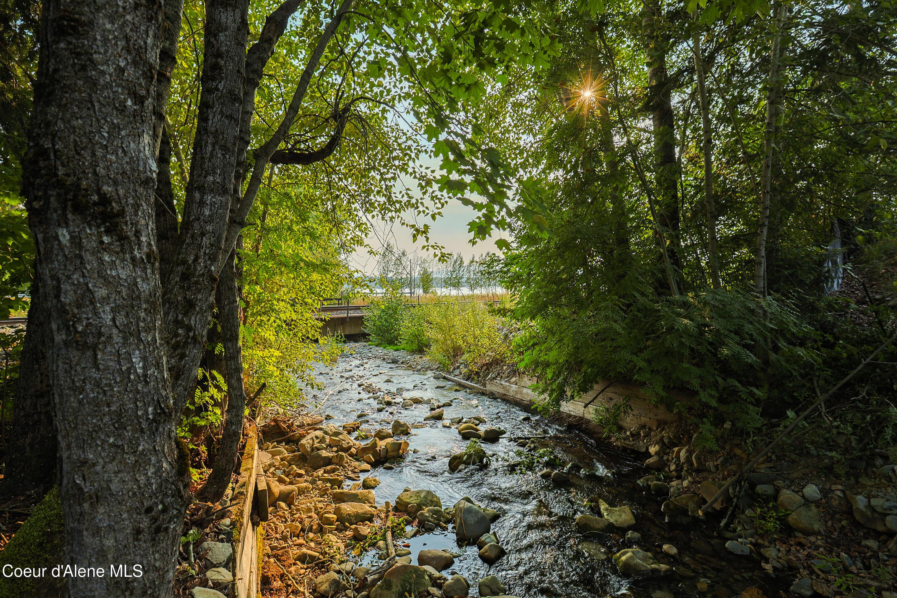 Image 1: Strong Creek frontage