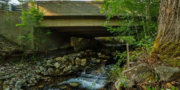 Image 2: Strong Creek frontage