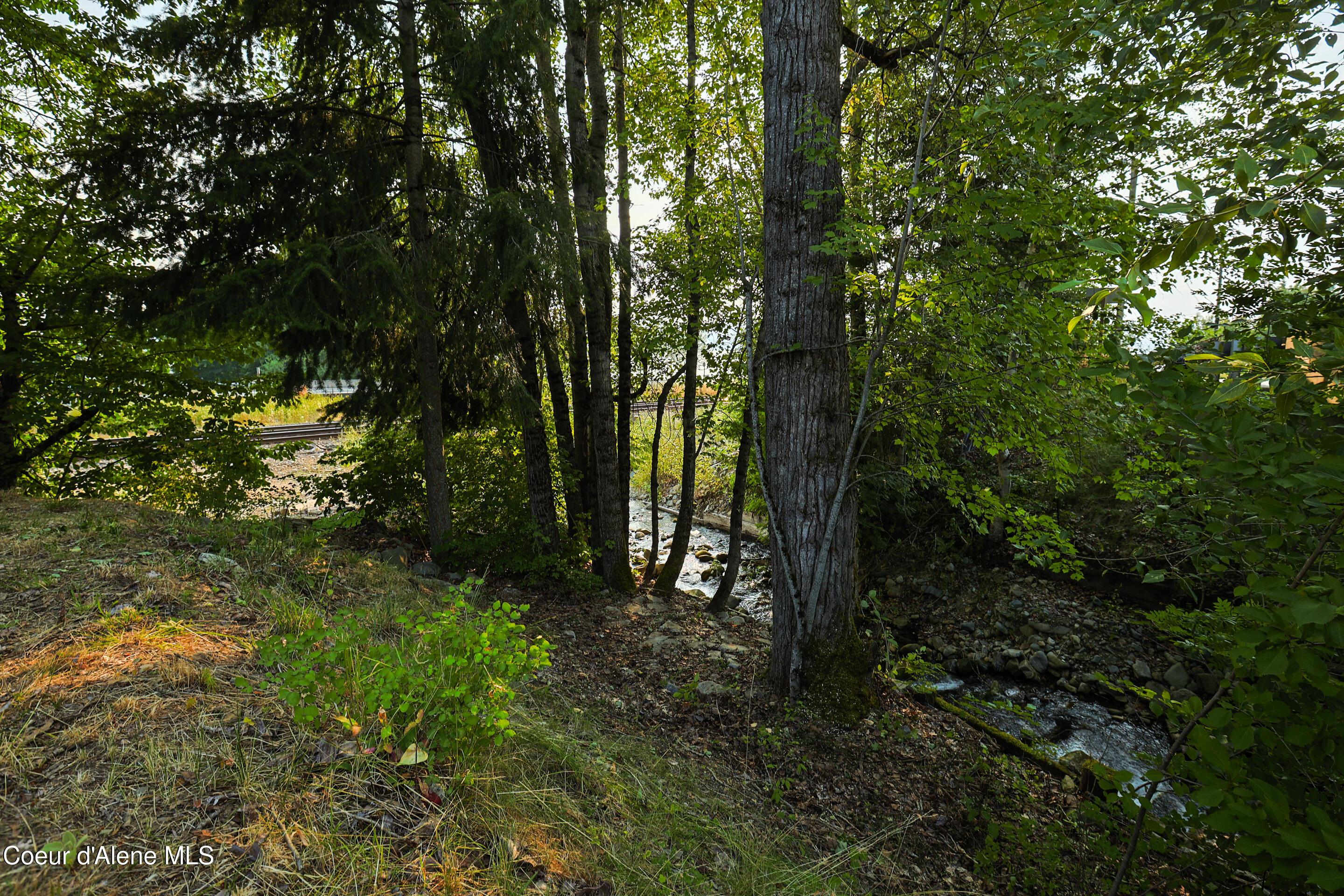 Image 3: Strong Creek frontage