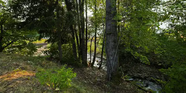 Image 3: Strong Creek frontage