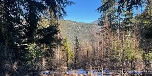 111 Forest Highland
