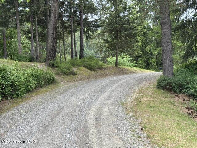 Image 2: IMG_6227