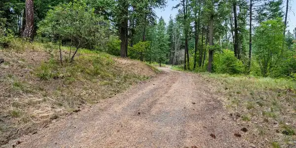Image 4: 14-Driveway