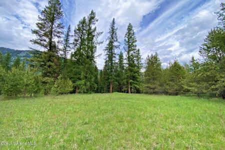NNA 58 Acres Hwy 95 N