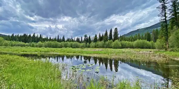 Image 2: 02