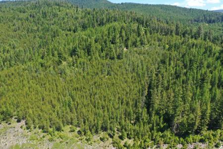 NKA Parcel 00 Cristal Peak Rd.