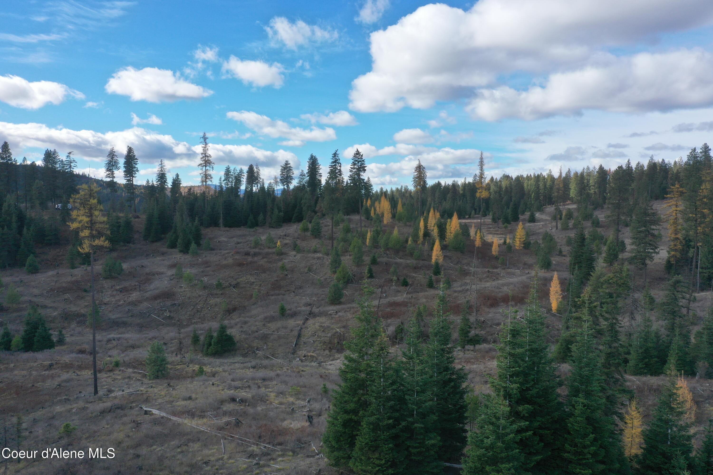 Image 2: DJI_0357