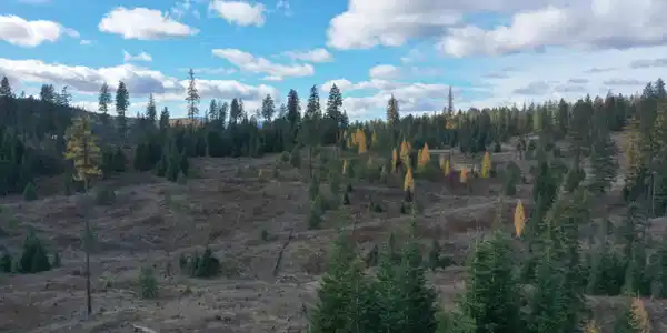 Image 2: DJI_0357