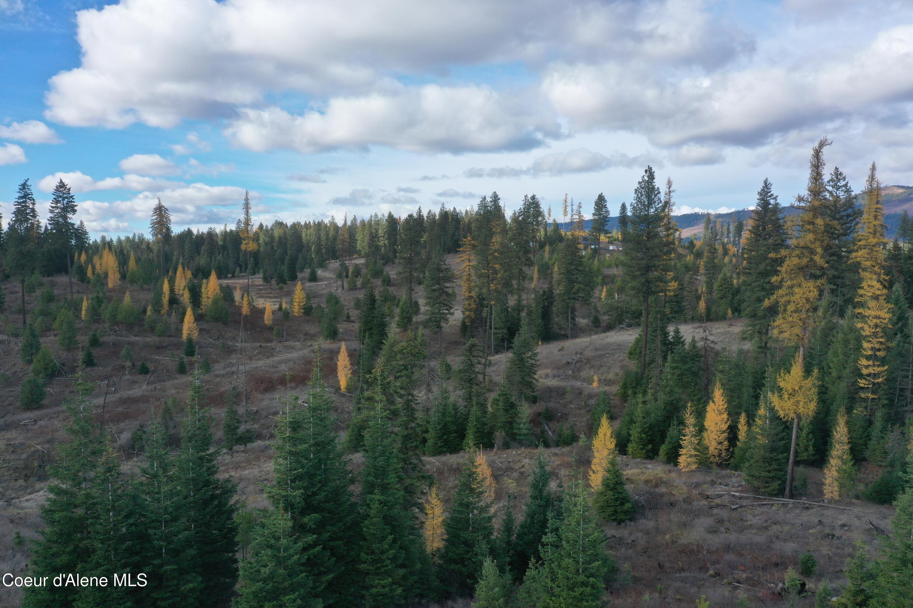 Image 3: DJI_0358