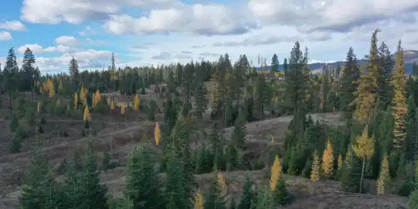 Image 3: DJI_0358