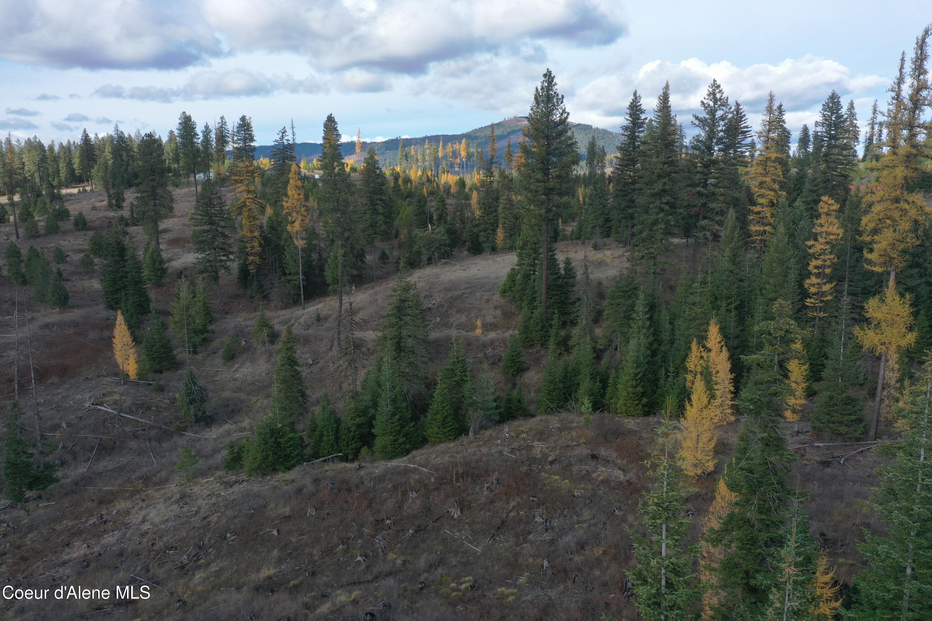 Image 4: DJI_0359