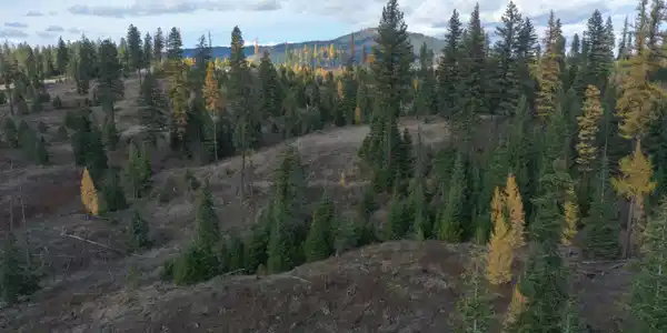 Image 4: DJI_0359