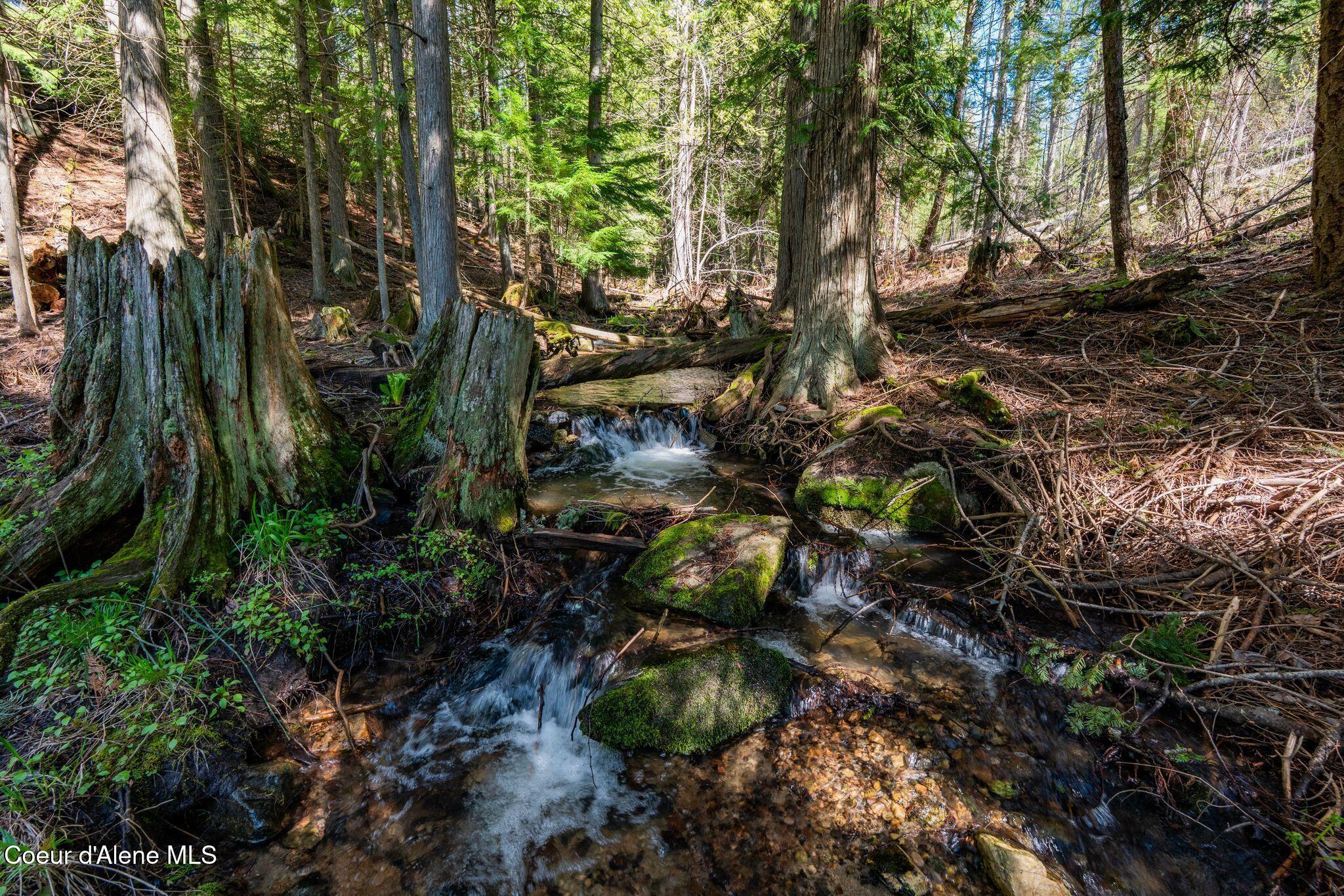 Image 4: mls_A7401388
