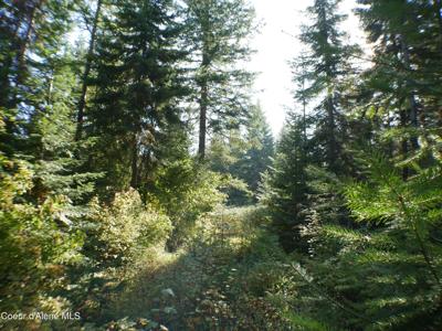 Mutch Creek Road (Parcel 4)