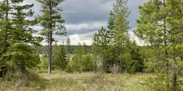 12 acres Elizabeth Ln