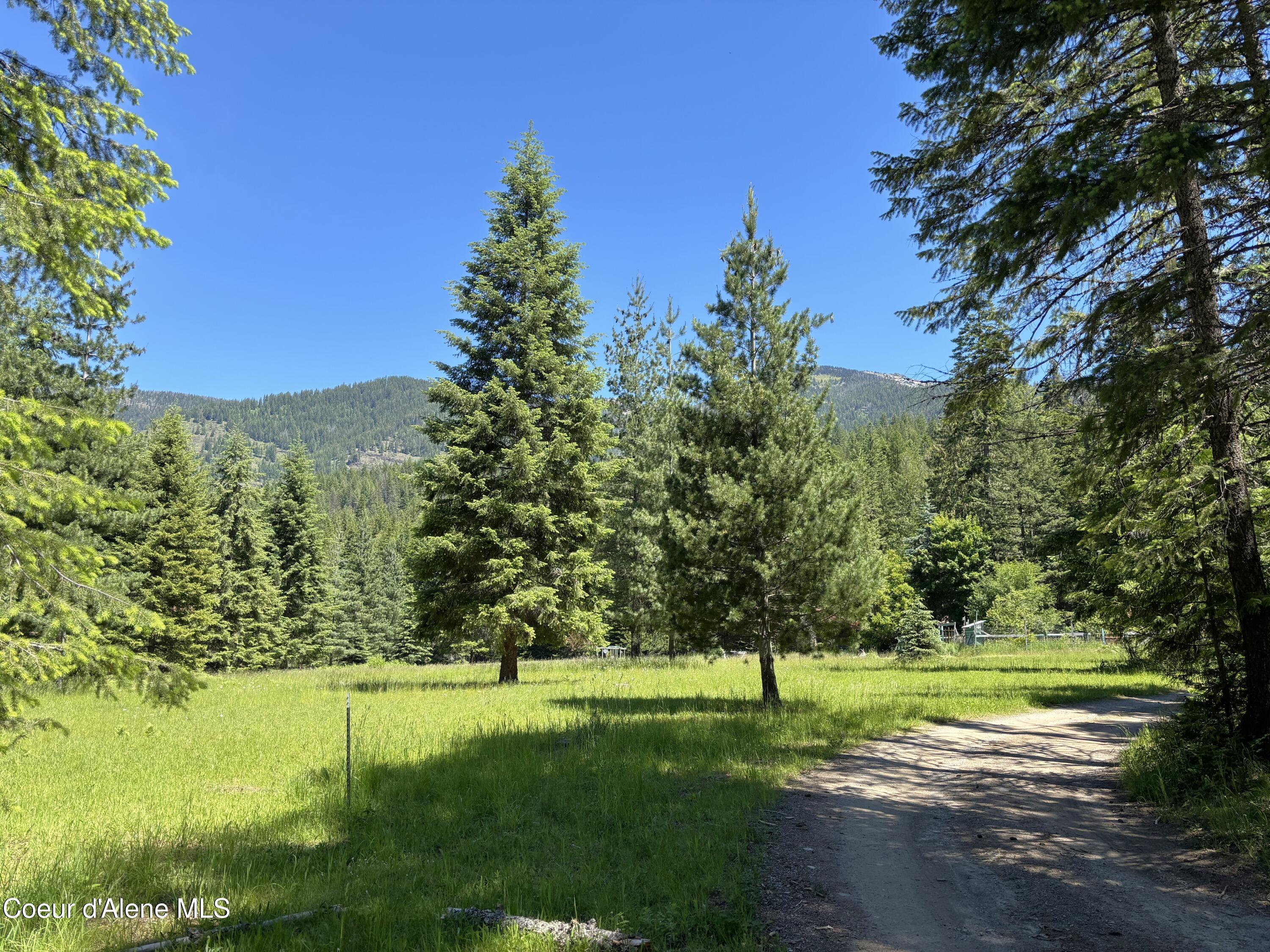 Image 2: 002 View from driveway