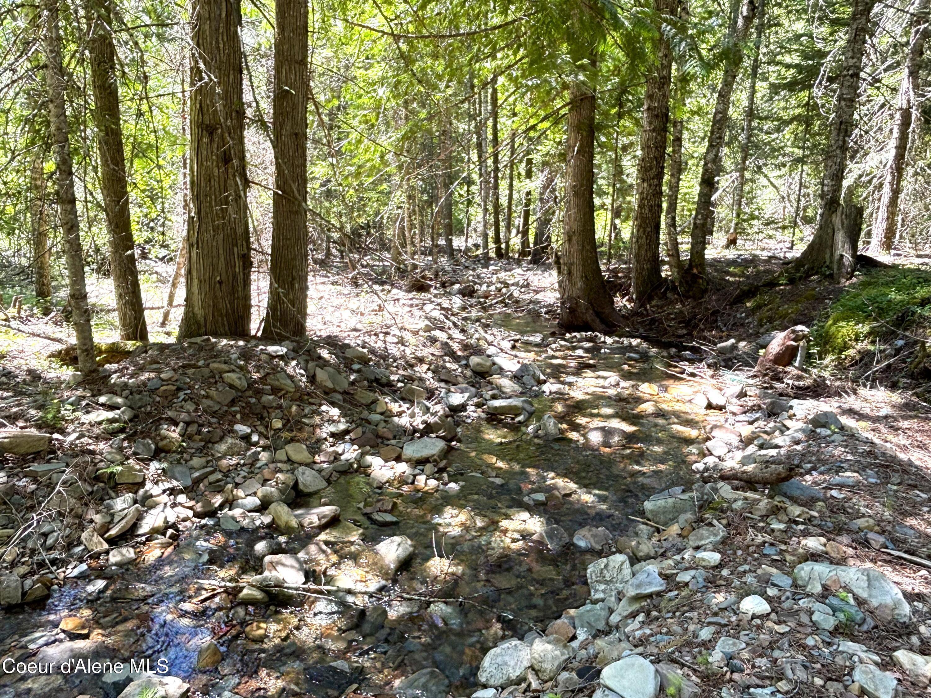 Image 3: 003 Mosquito Creek