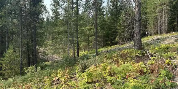 NNA Peninsula Loop Rd.